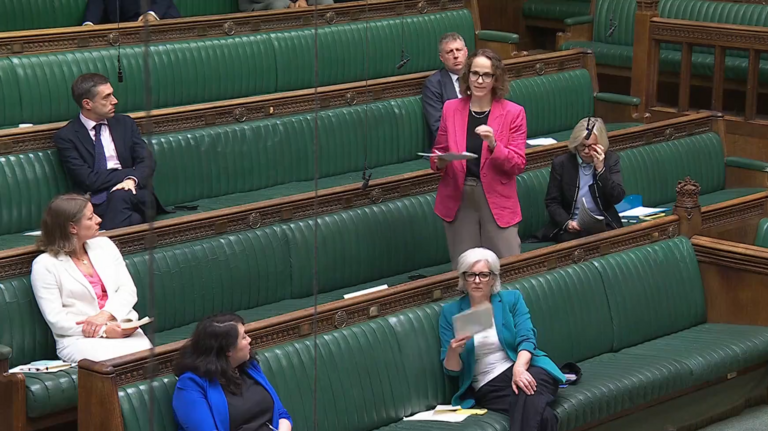 Alison speaking in the House on the social media bill