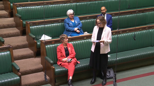 Alison in the House of Commons debate on hospices