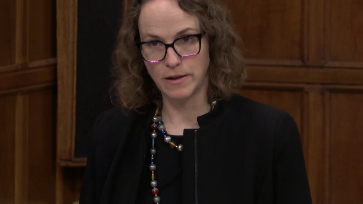 Political opinion with Alison Bennett MP: Epstein, power and the ...