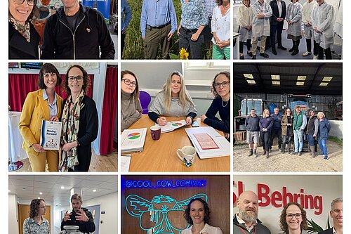 Sussex businesses