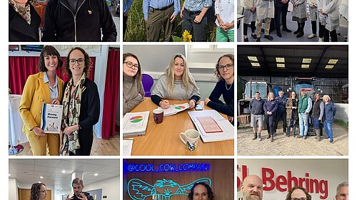 Sussex businesses