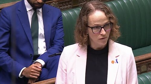 Alison speaking in the hospices debate